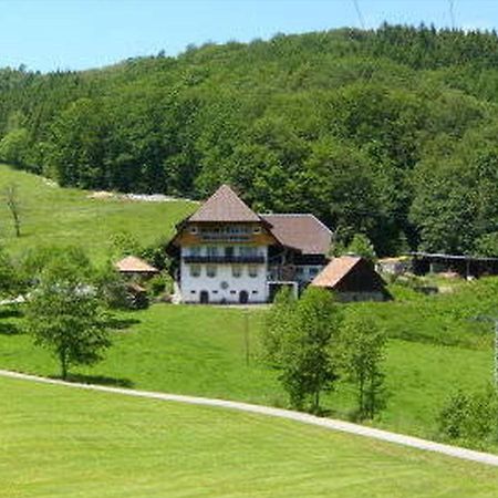 Heizmannshof Apartment Hofstetten  Екстериор снимка