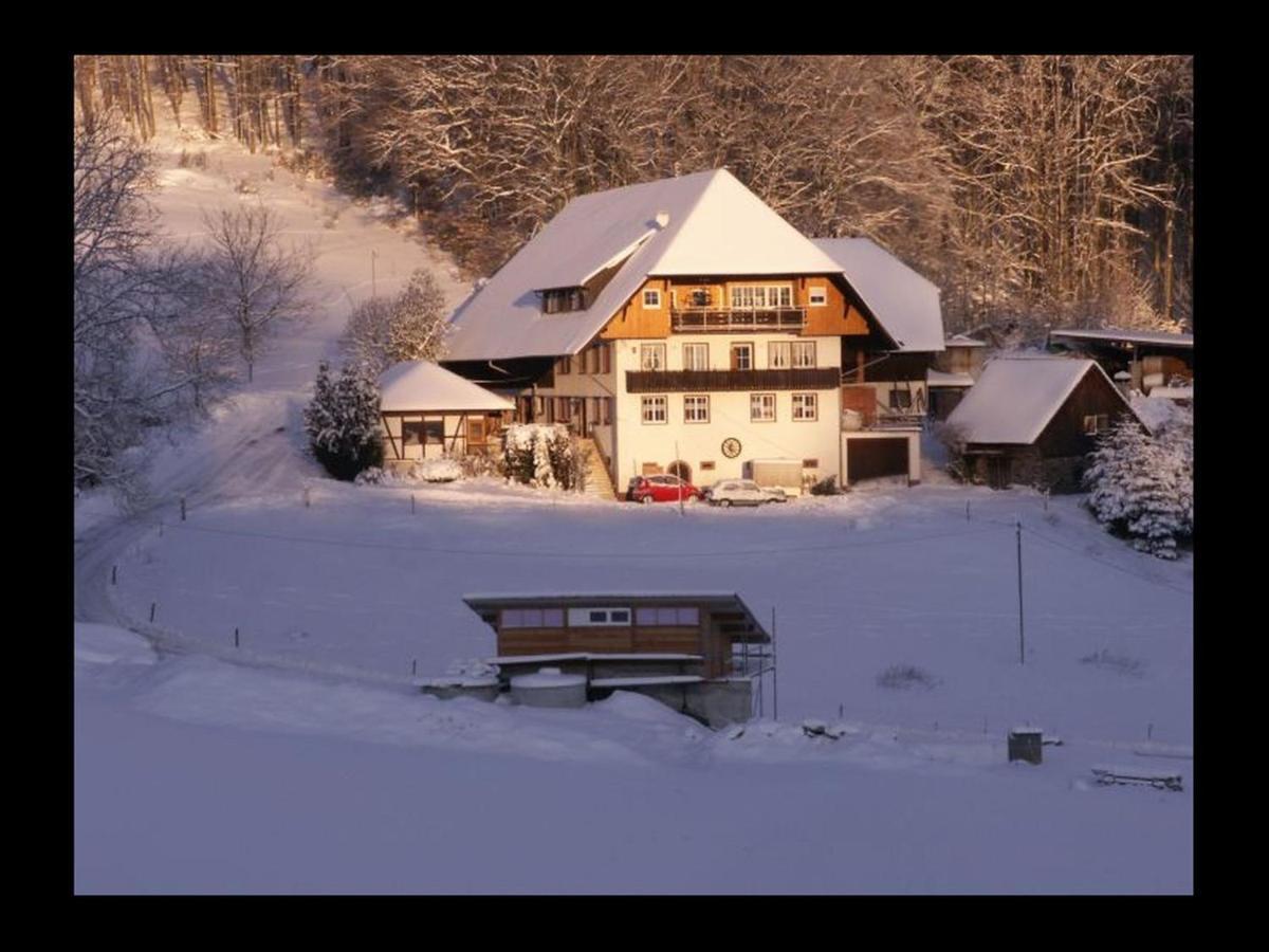 Heizmannshof Apartment Hofstetten  Екстериор снимка